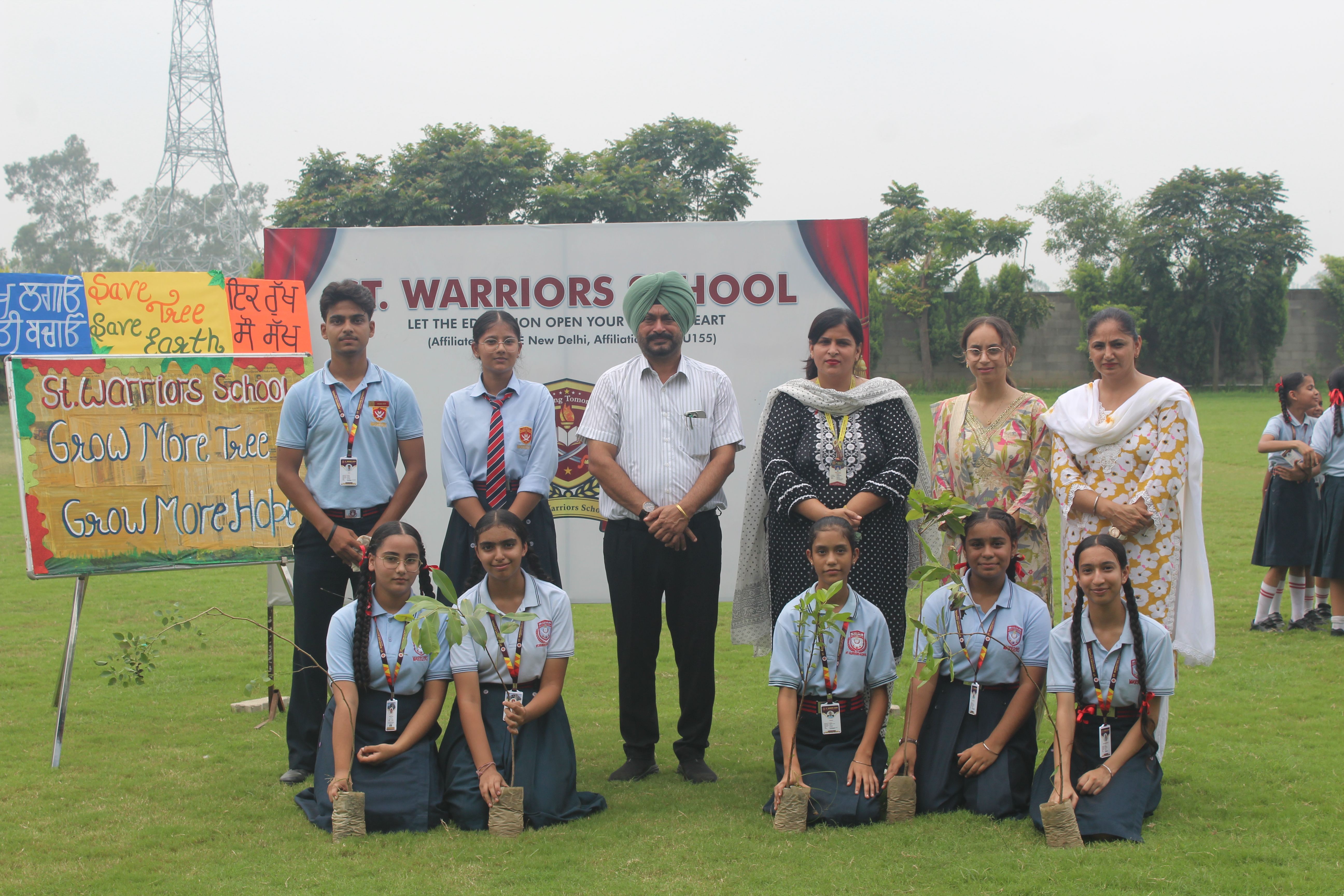 tree plantation 12